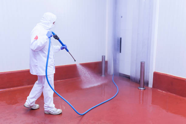Best Commercial Pressure Washing in Tsaile, AZ