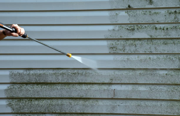 Best Gutter Cleaning and Brightening in Tsaile, AZ